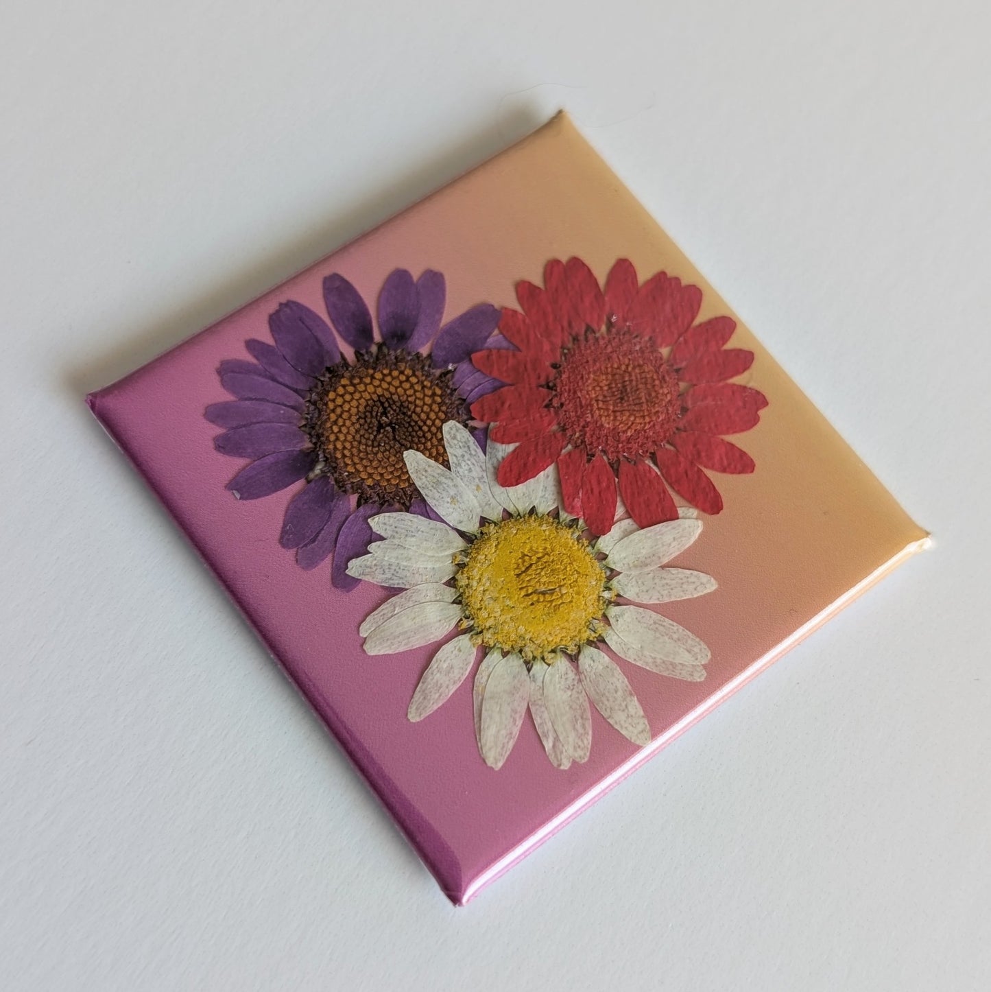 Real Flower Magnets