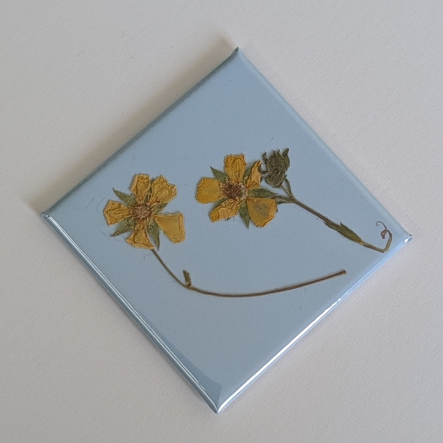 Real Flower Magnets