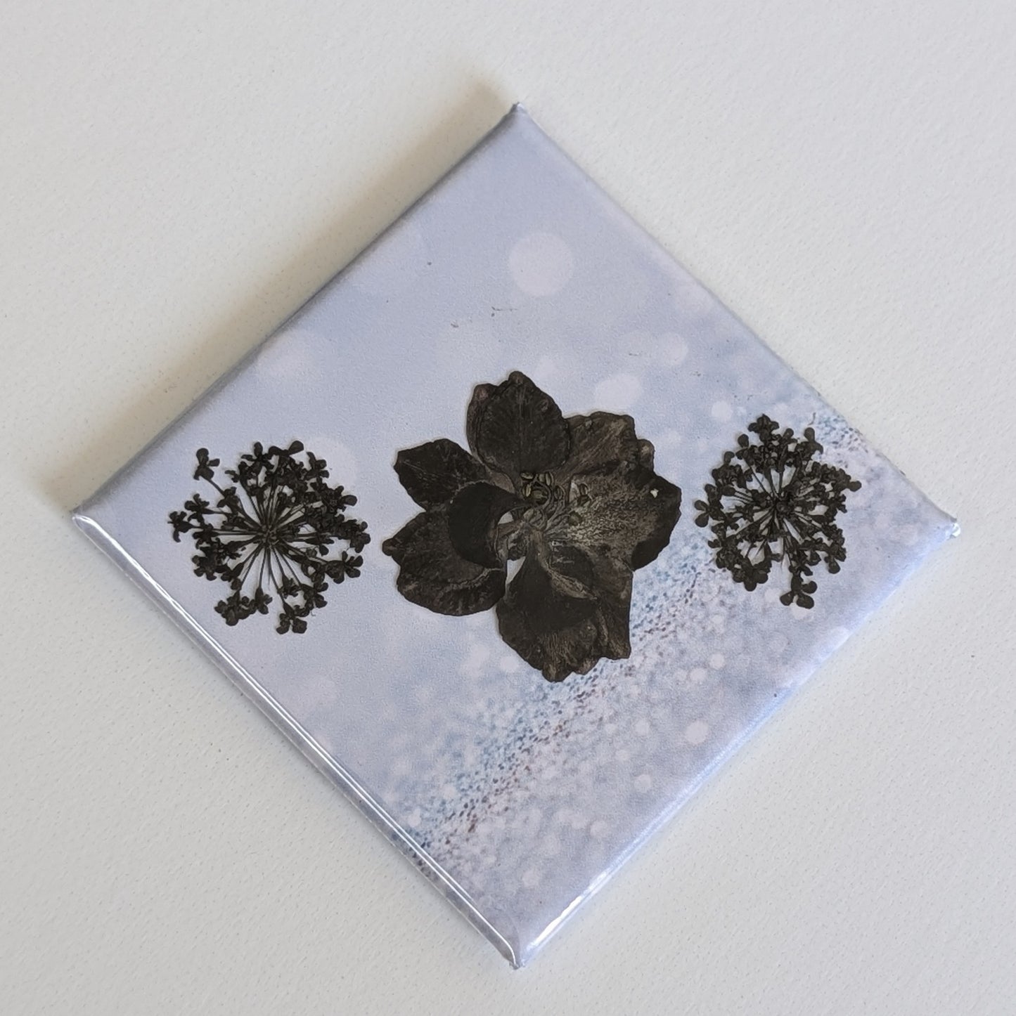 Real Flower Magnets