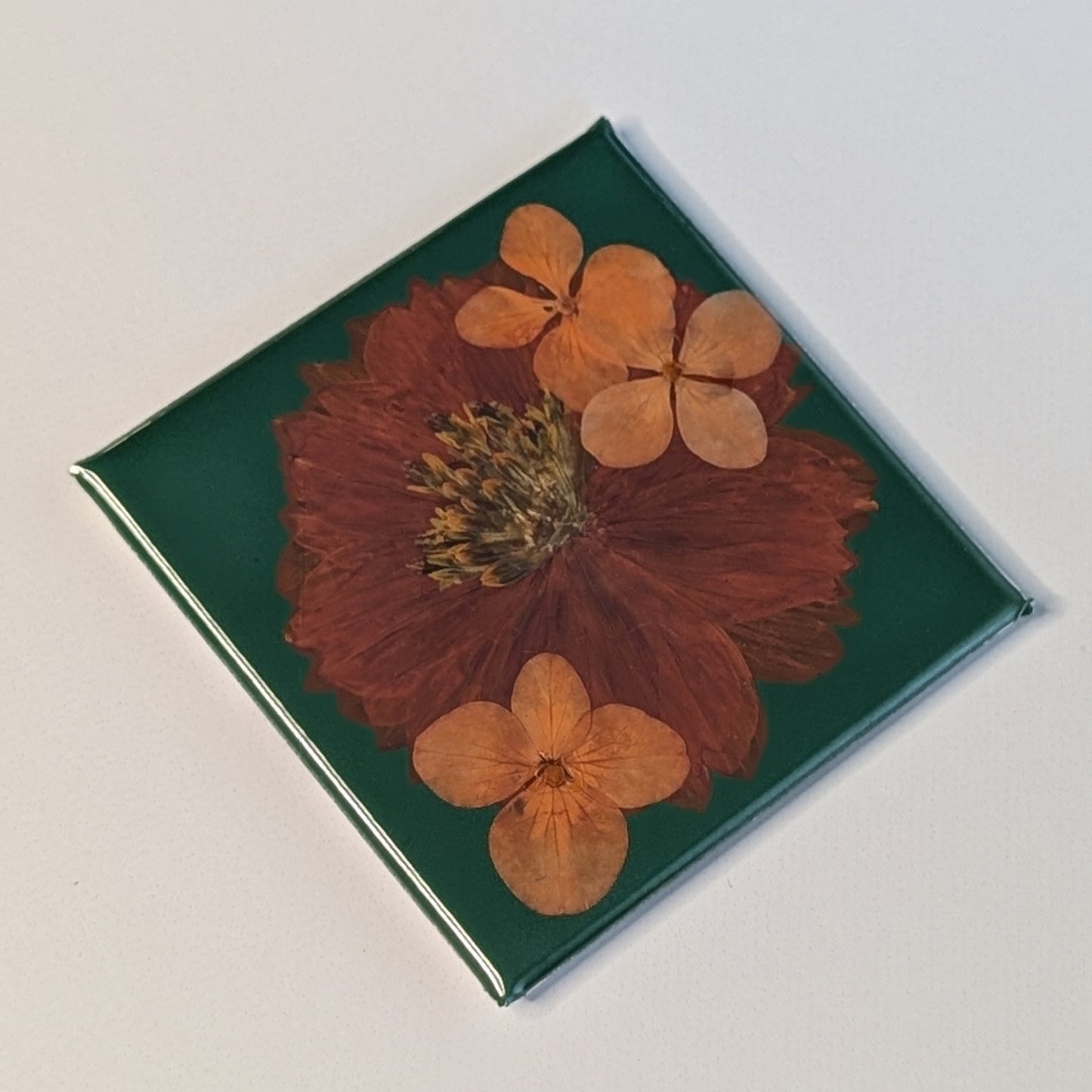 Real Flower Magnets