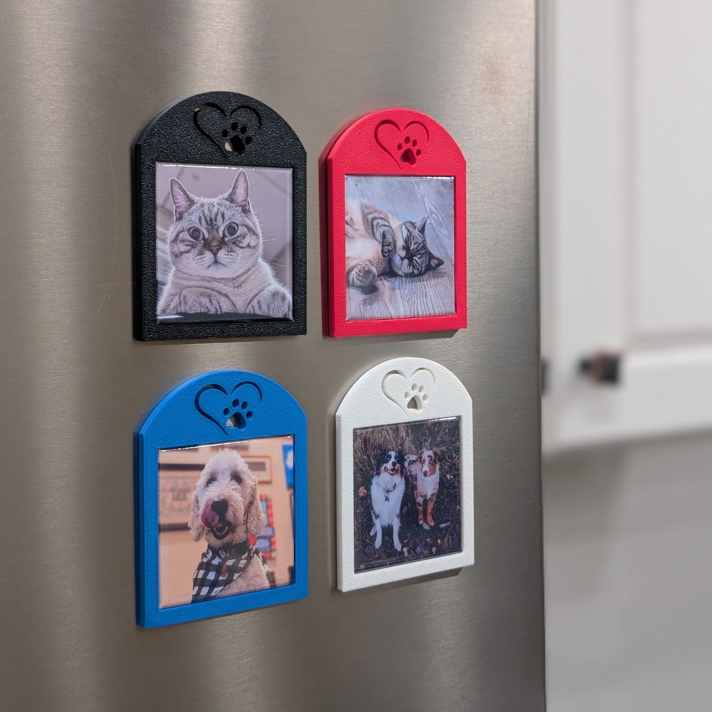 A set of four square photo magnet frames with an icon on the top of a heart outline around a paw. The colors of the frames are white, red, black, and blue. They are on the fridge.