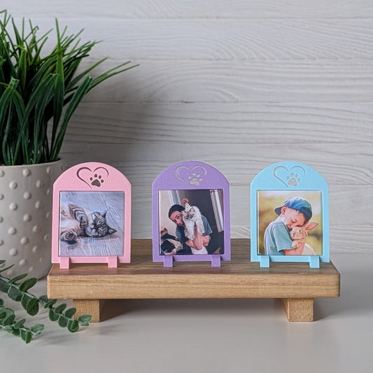 Spring Decor Collection: Sweet Paw Frame- Mini