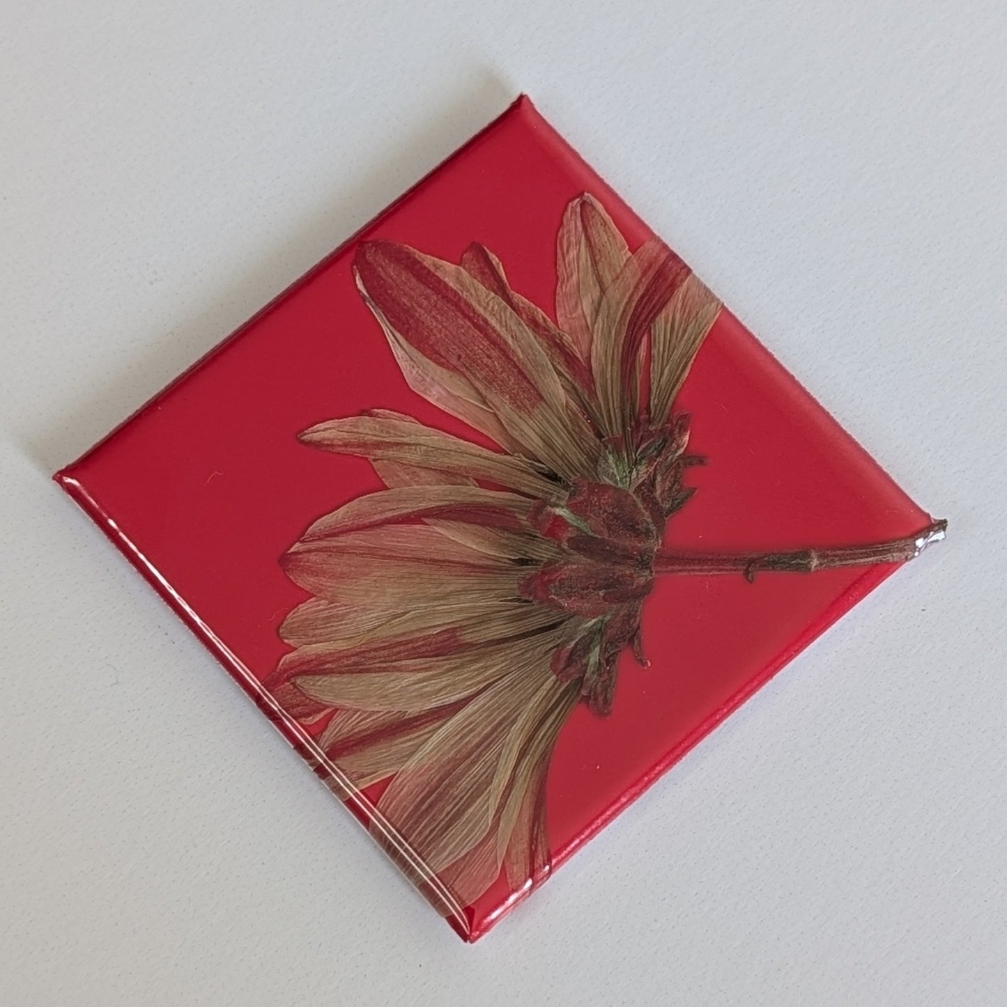 Real Flower Magnets