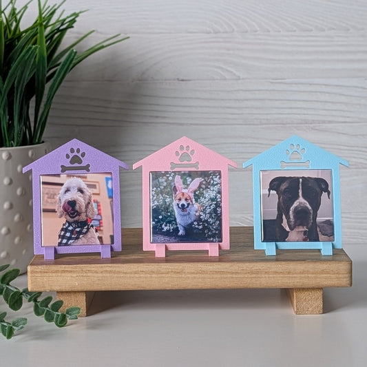 Spring Collection: Doghouse Frame - Mini