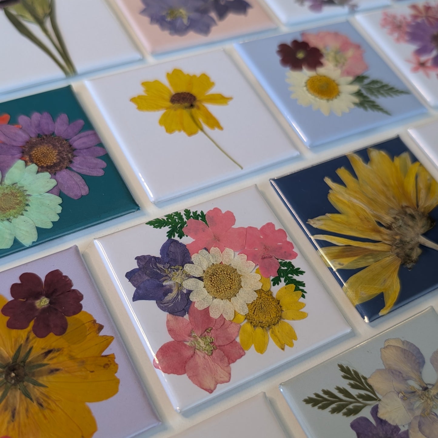 Real Flower Magnets