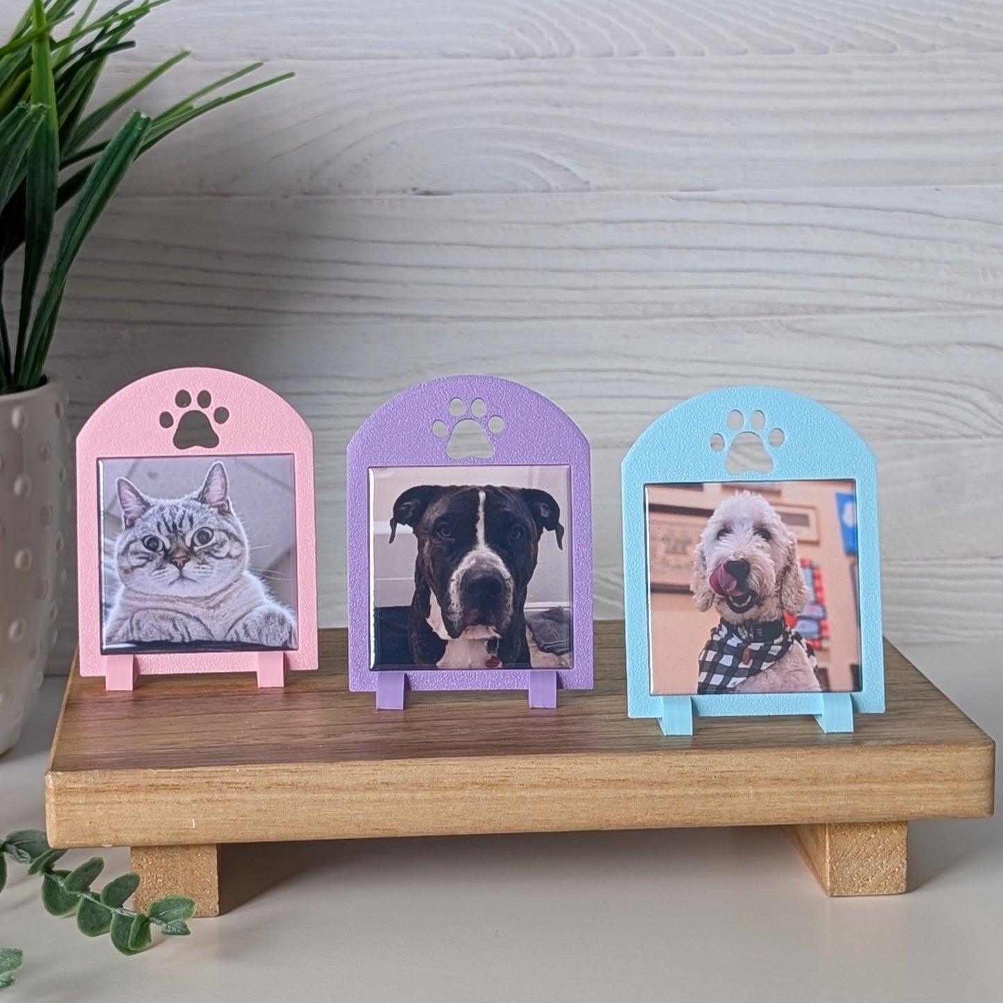 Spring Collection: Pawprint Frame - Mini