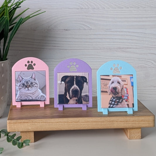 Spring Collection: Pawprint Frame - Mini